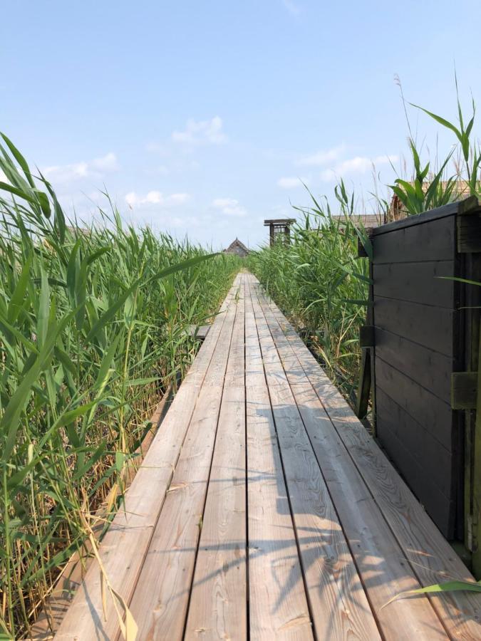 Seehuette Neusiedlersee Robinsonhuette